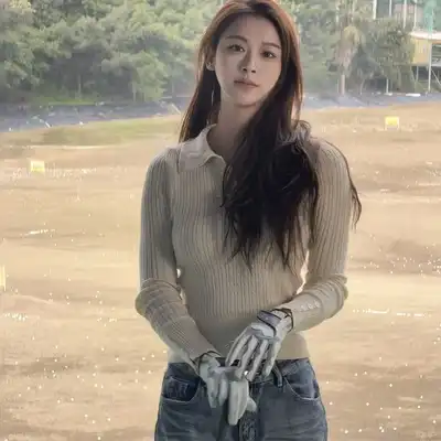 叶嘉